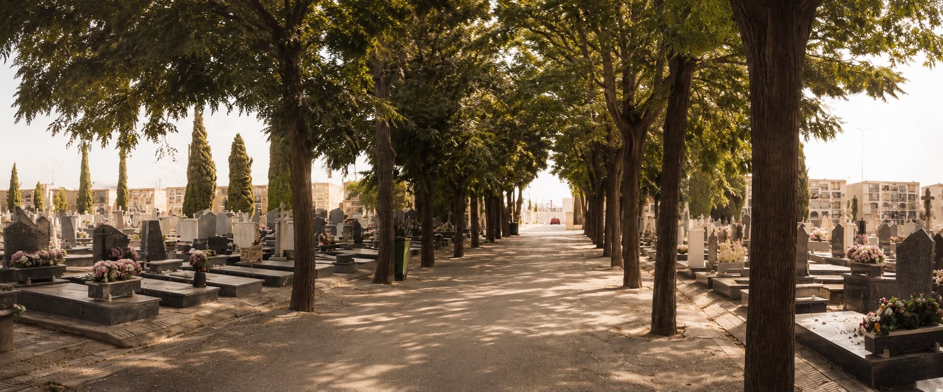 Cementerio de Tarragona donde realizamos nuestro servicio de mantenimiento y cuidado de nichos y tumbas